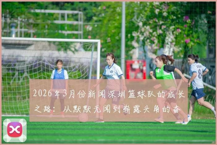 2026年3月份新闻深圳篮球队的成长之路：从默默无闻到崭露头角的奋斗历程